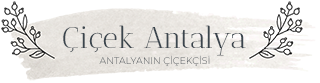 Çiçek Antalya  logo