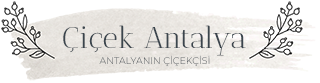 Çiçek Antalya Flowers shopping logo